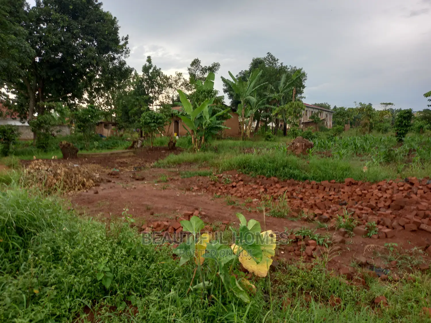 On Sale ,25 Decimals in Kasangati in Nangabo