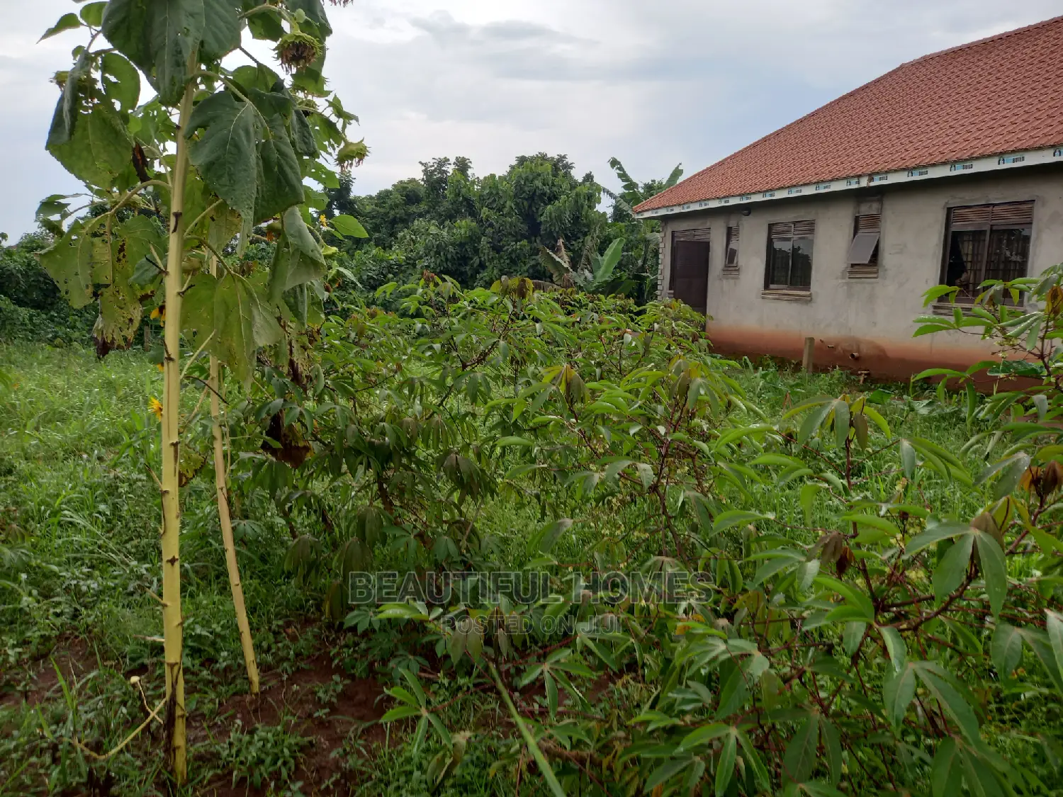 Kasangati 100*100 in Gated Neighborhood on Sell in Nangabo