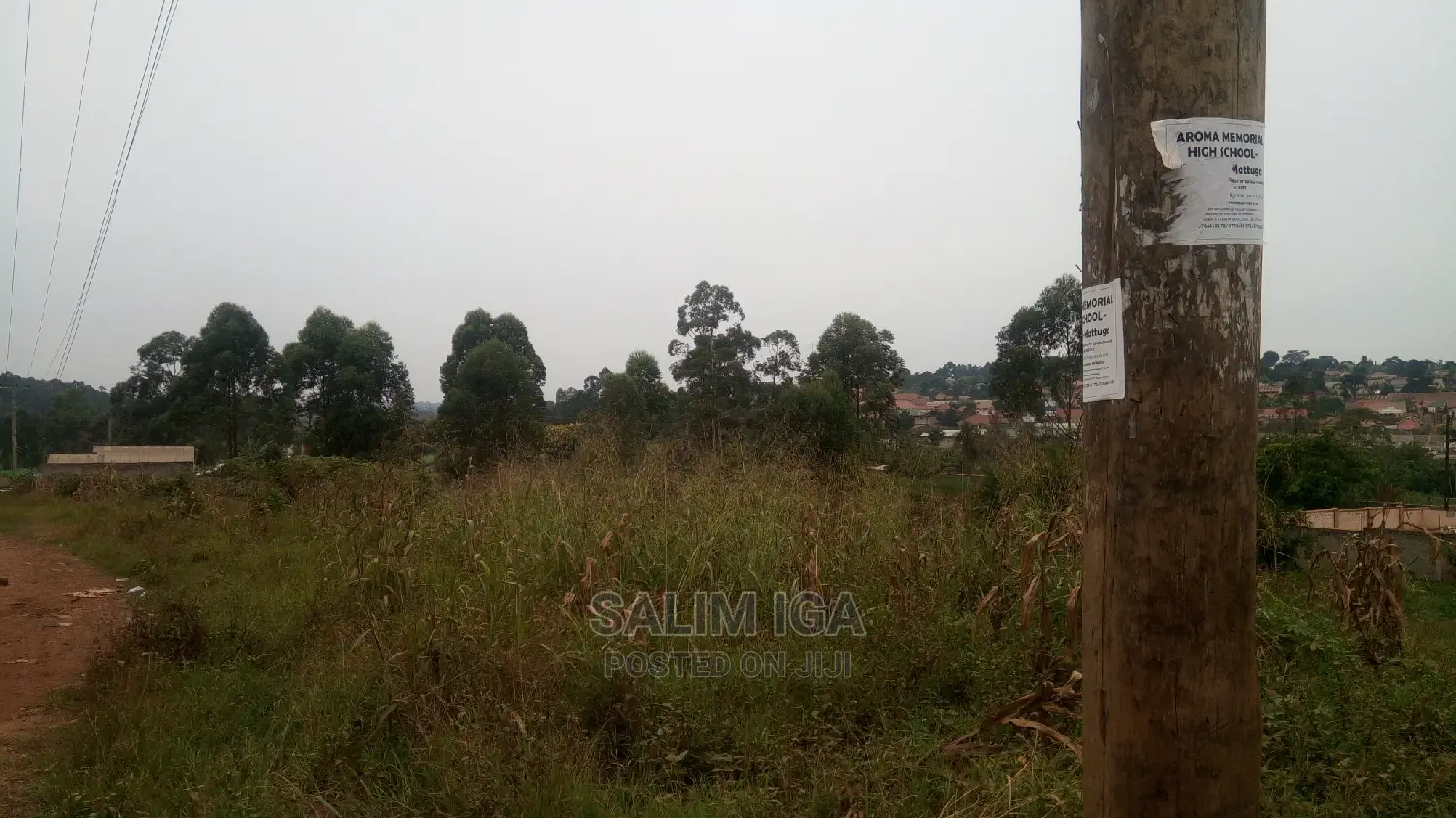 Spacious Land in Wakiso / Wakiso
