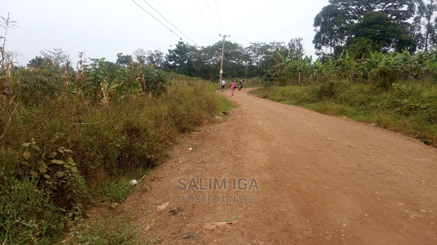 Spacious Land in Wakiso / Wakiso