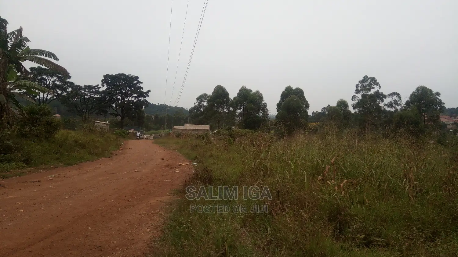 Spacious Land in Wakiso / Wakiso