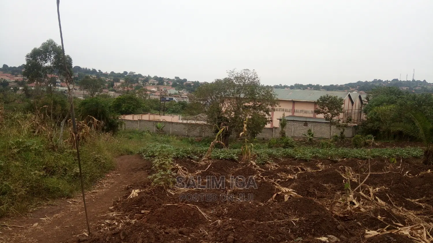 Spacious Land in Wakiso / Wakiso