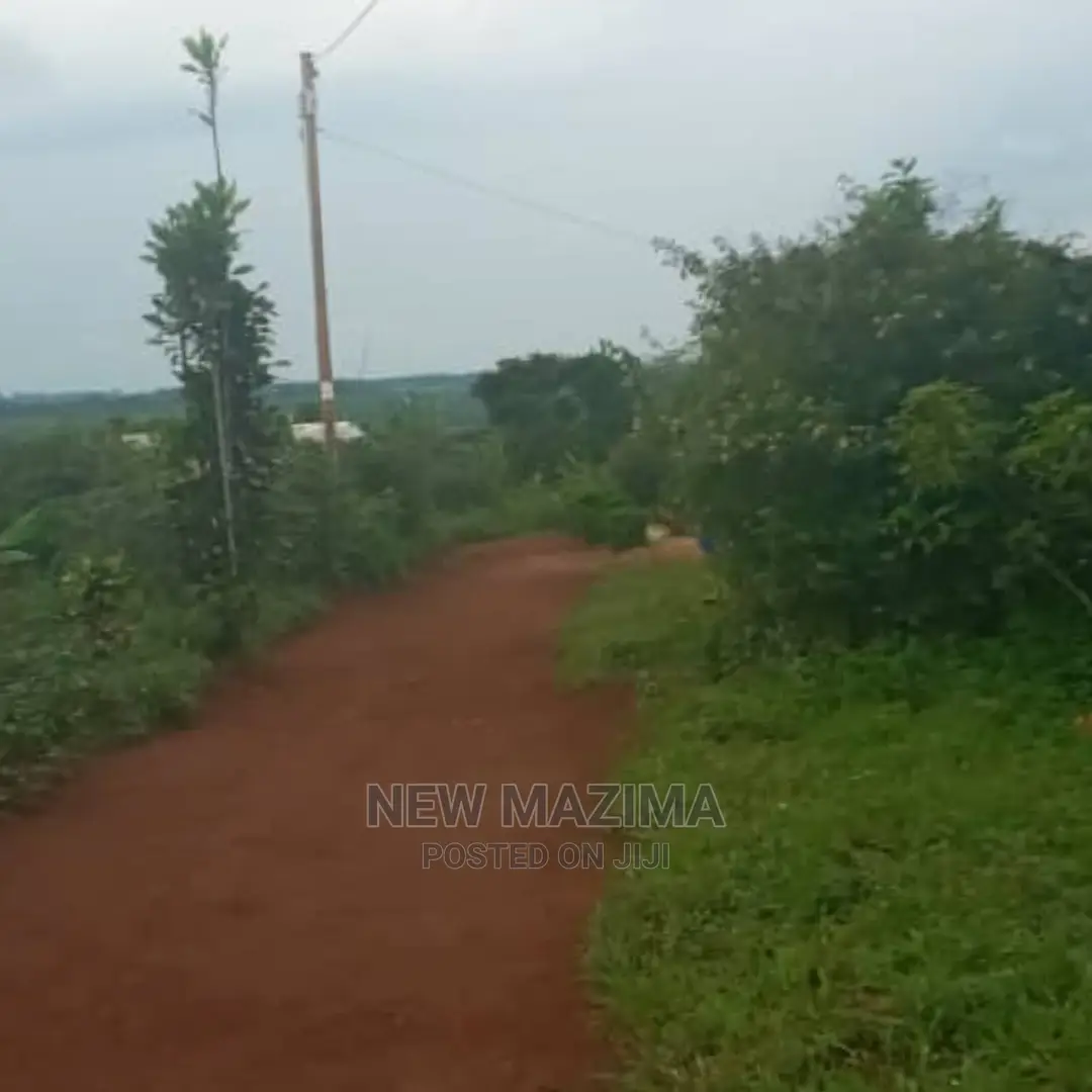 Kasanje Titled Plot on Forced Sale Power and Water on Site in Division B