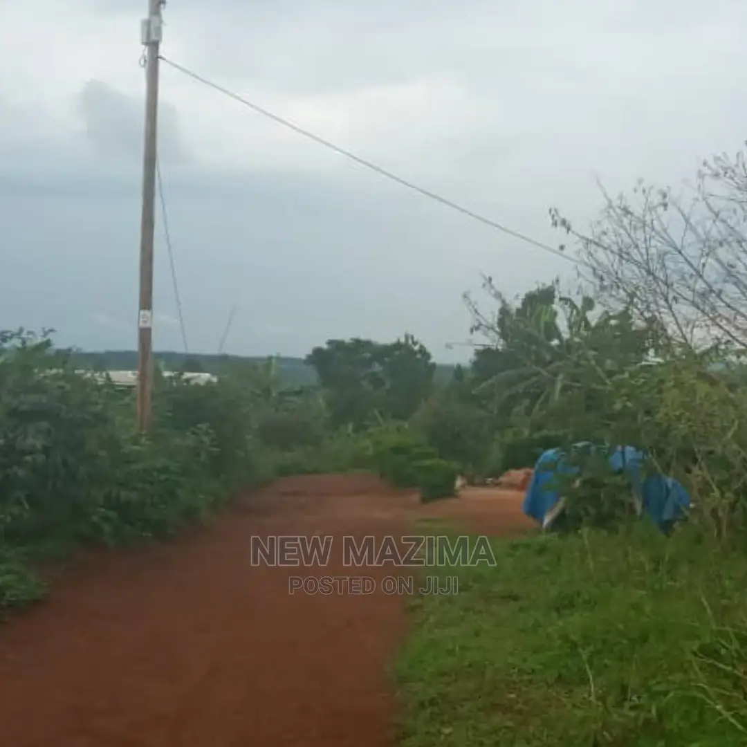 Kasanje Titled Plot on Forced Sale Power and Water on Site in Division B