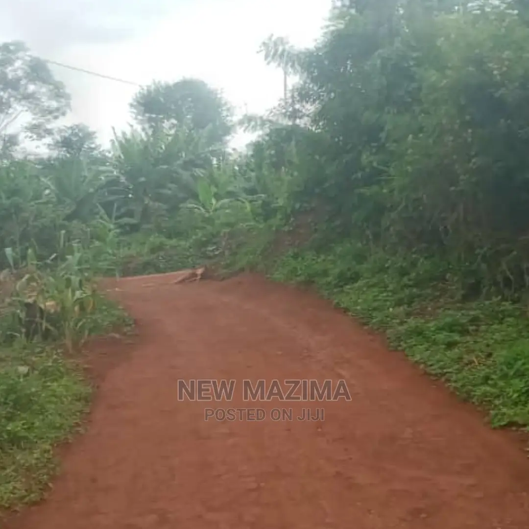 Kasanje Titled Plot on Forced Sale Power and Water on Site in Division B