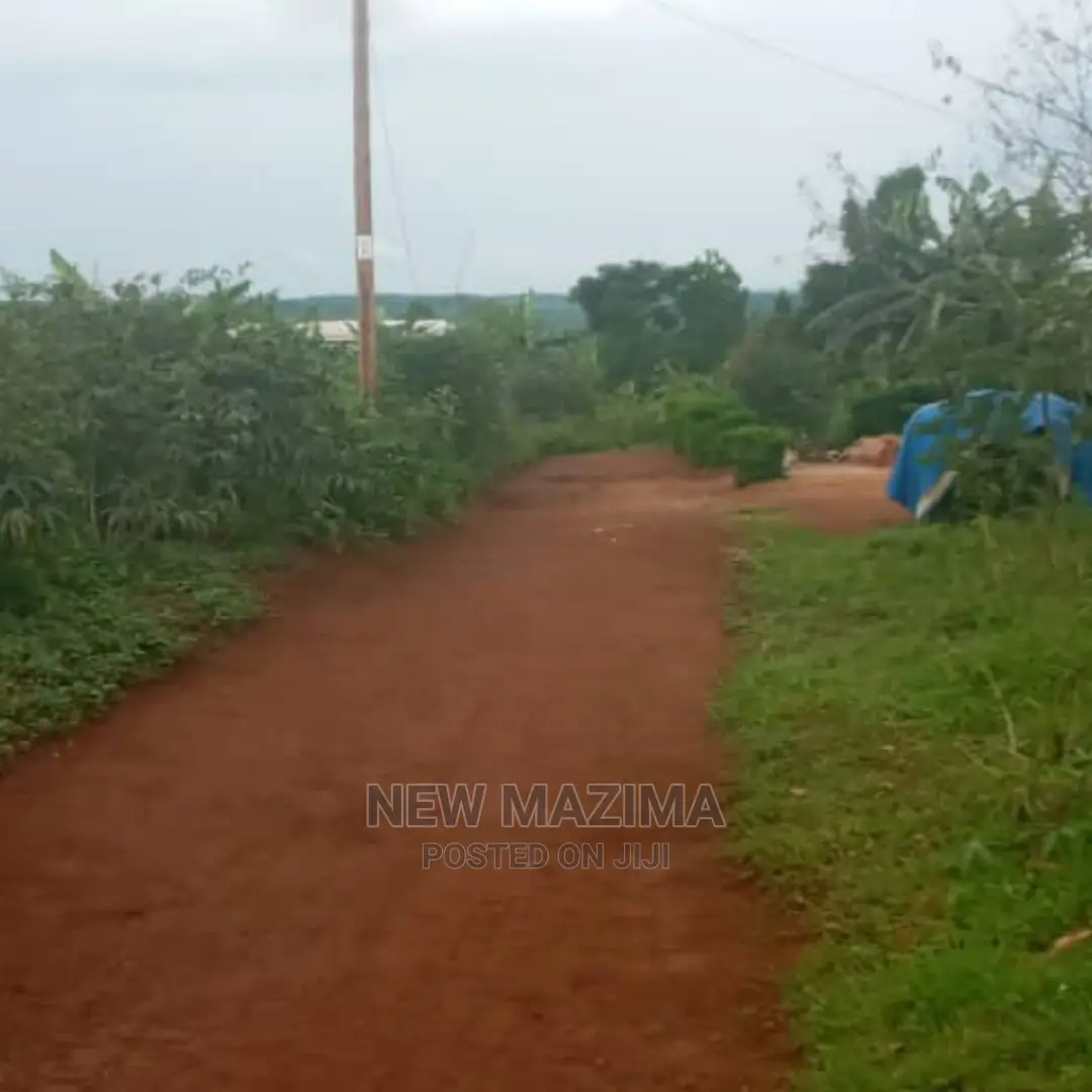 Kasanje Titled Plot on Forced Sale Power and Water on Site in Division B
