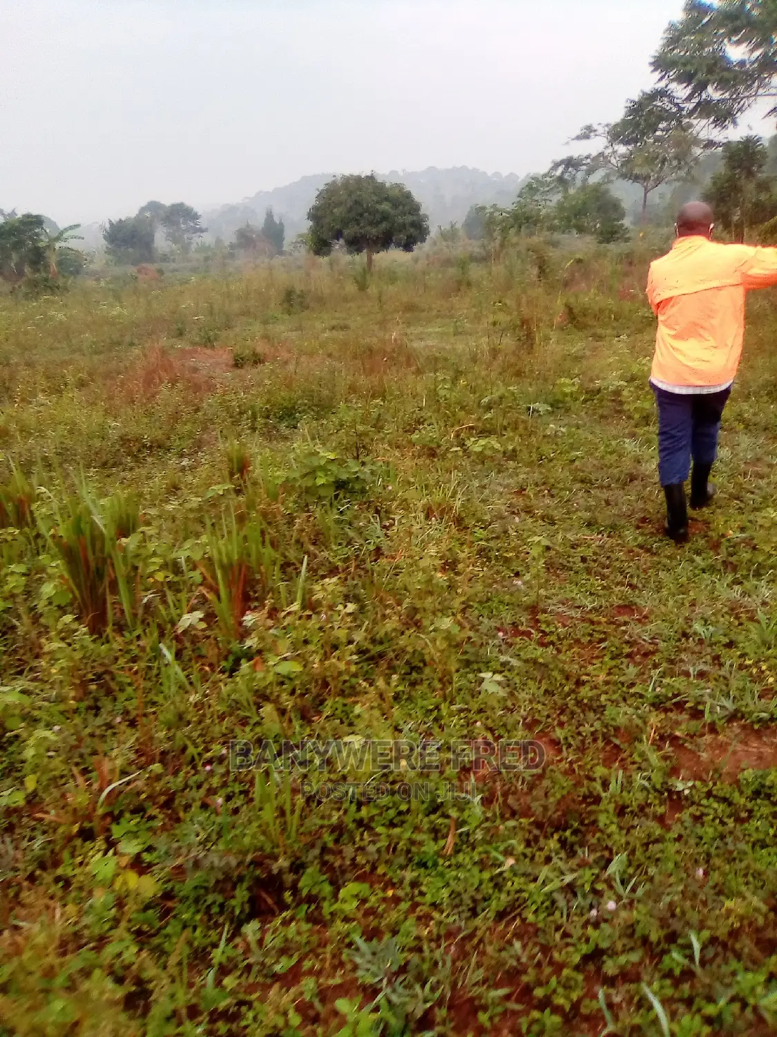 5acres of Farmland for Sale in Maseke in Ntenjeru / Mukono