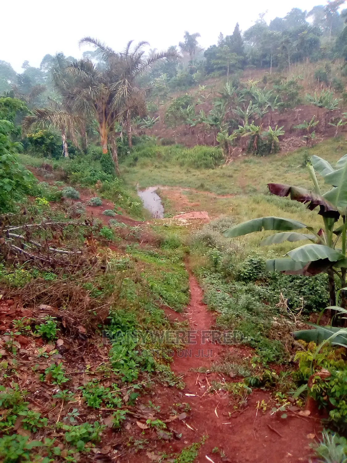 20acres of Farmland for Sale in Nkokojeru in Seeta-Namuganga