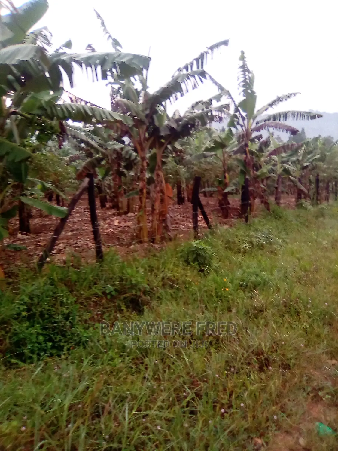 10acres of Farmland in Sea in Kkome Islands