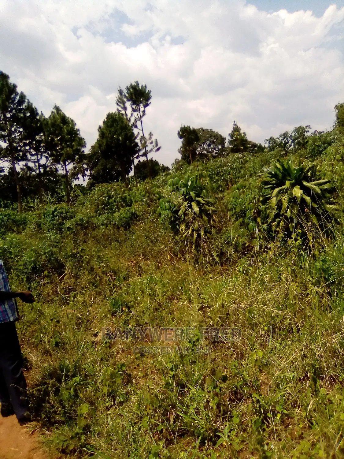50/70 Plot for Sale in Kawago in Goma