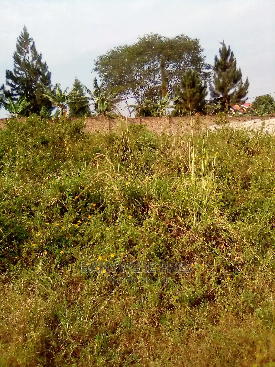60/100 Plot for Sale in Namugongo in Kira