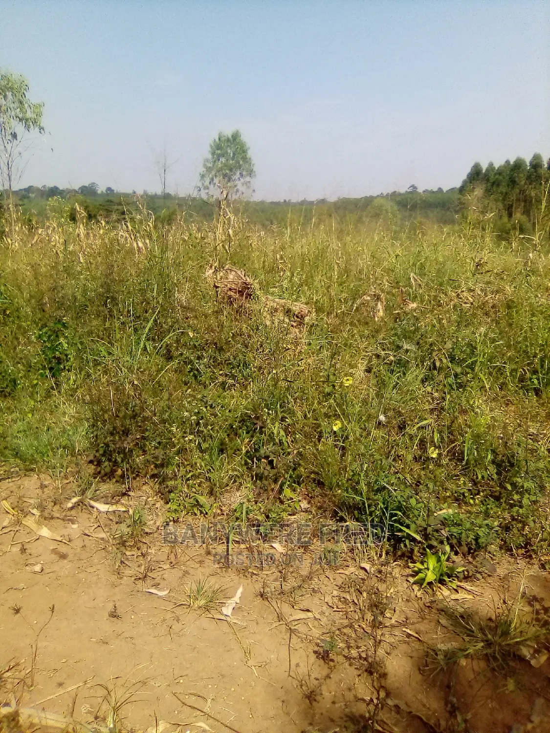 2acre of Farmland in Kasayi in Kyampisi