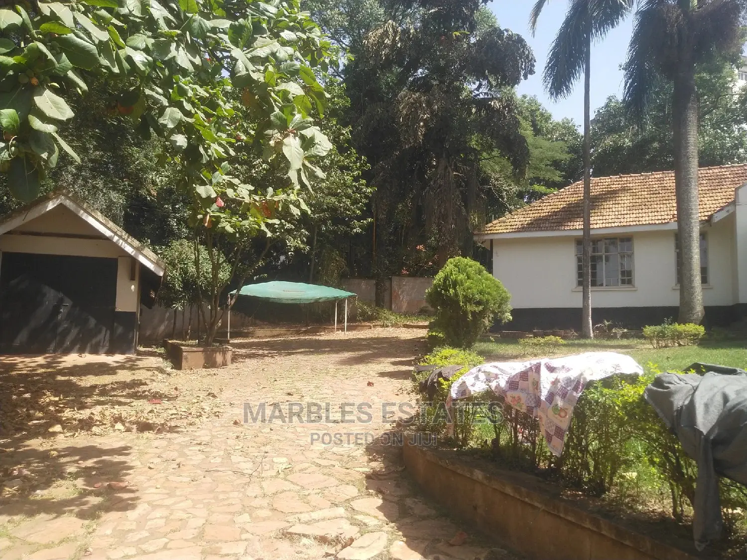 4bdrm Bungalow in Kololo, Central Division for Rent in Central Division
