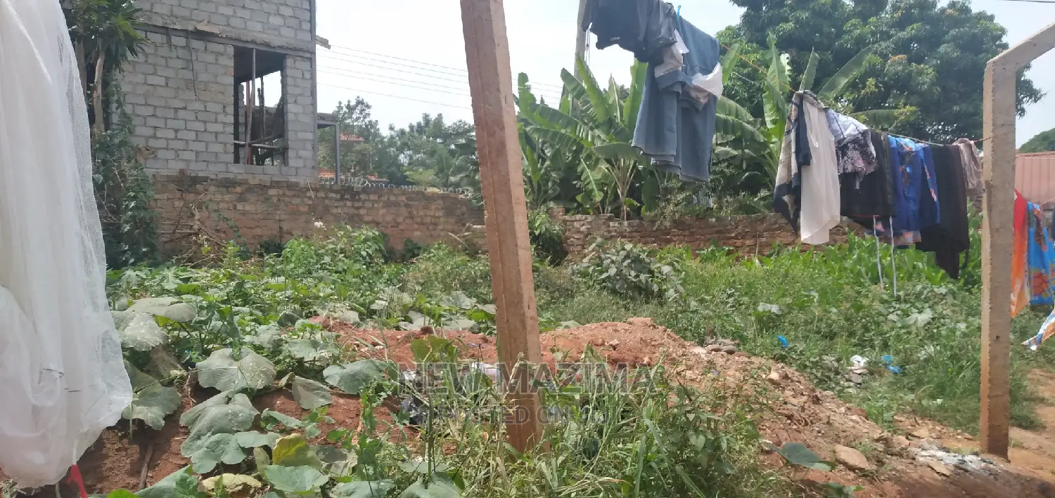Very Affordable Plot on Quicksale in Heart of Buziga Heights in Division A