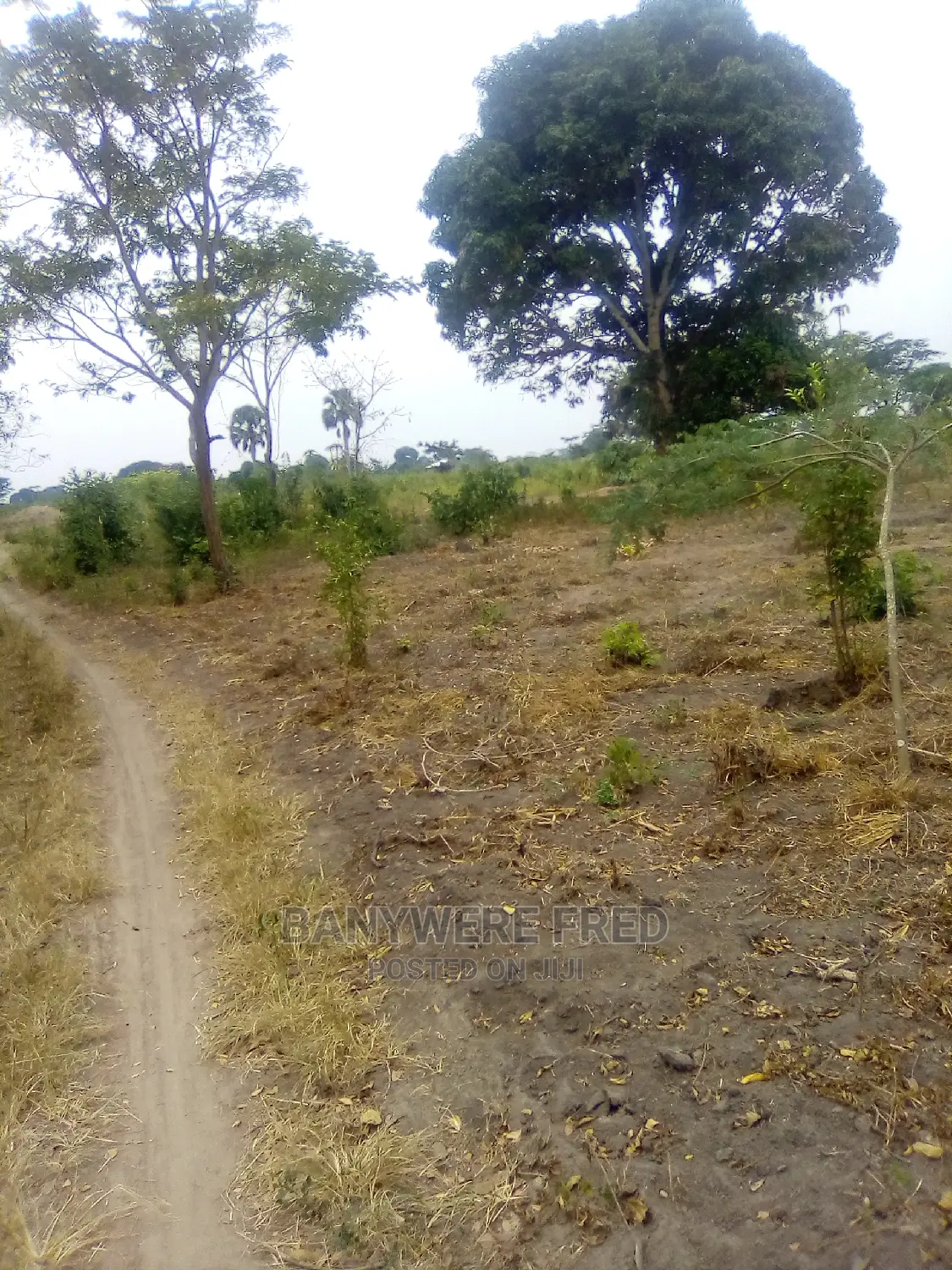 20acres of Farmland for Sale in Katale Kake in Kikyusa