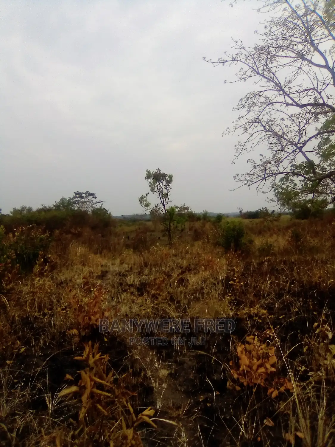 2acres of Farmland on Sale I Wabitugulu in Zirobwe