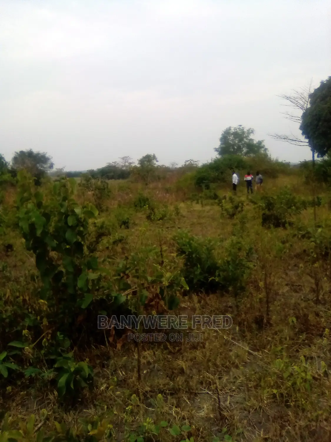 80/100 Plot for Sale in Buto in Kira