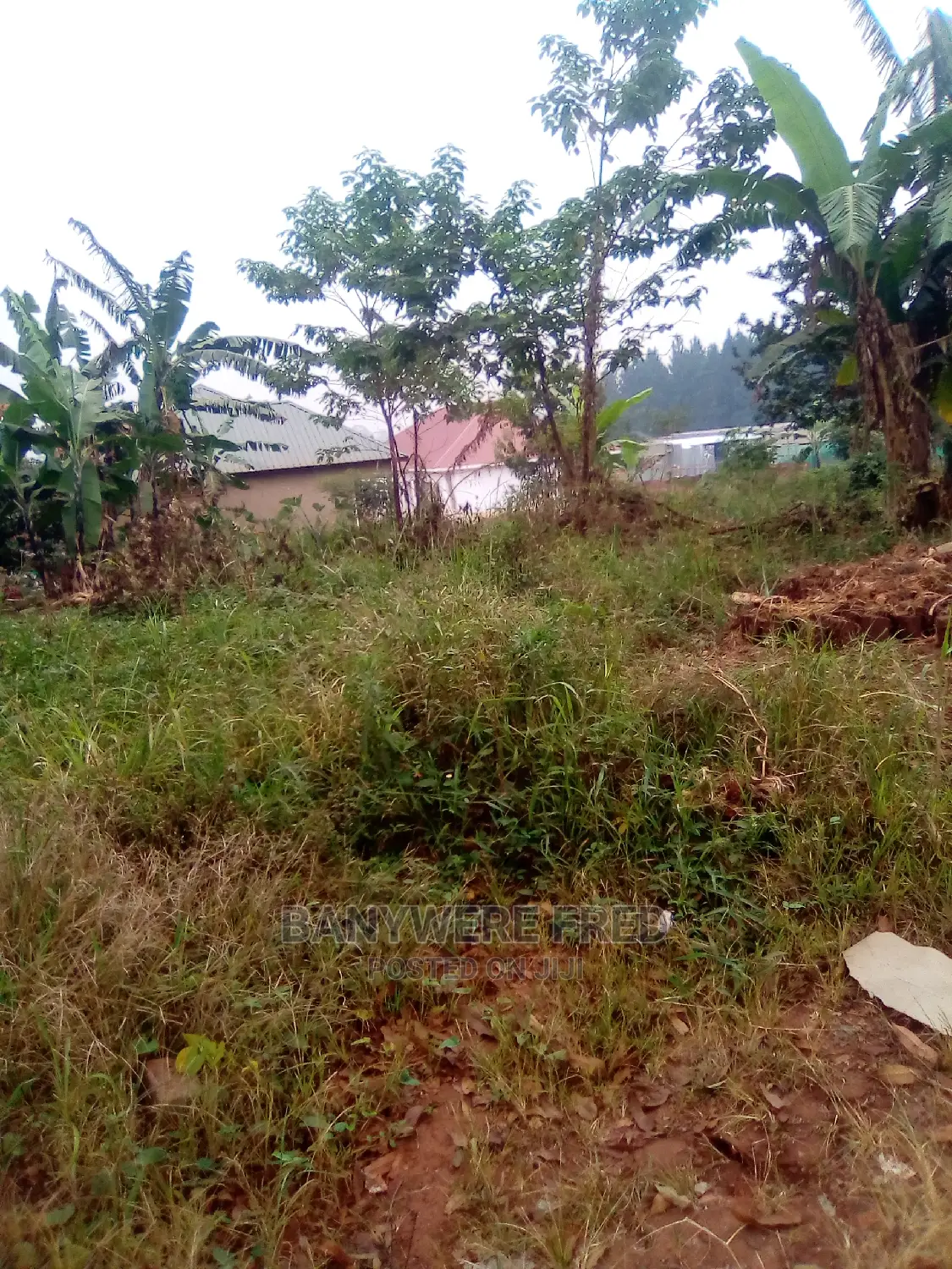 70/100 Plot for Sale in Buto in Kira