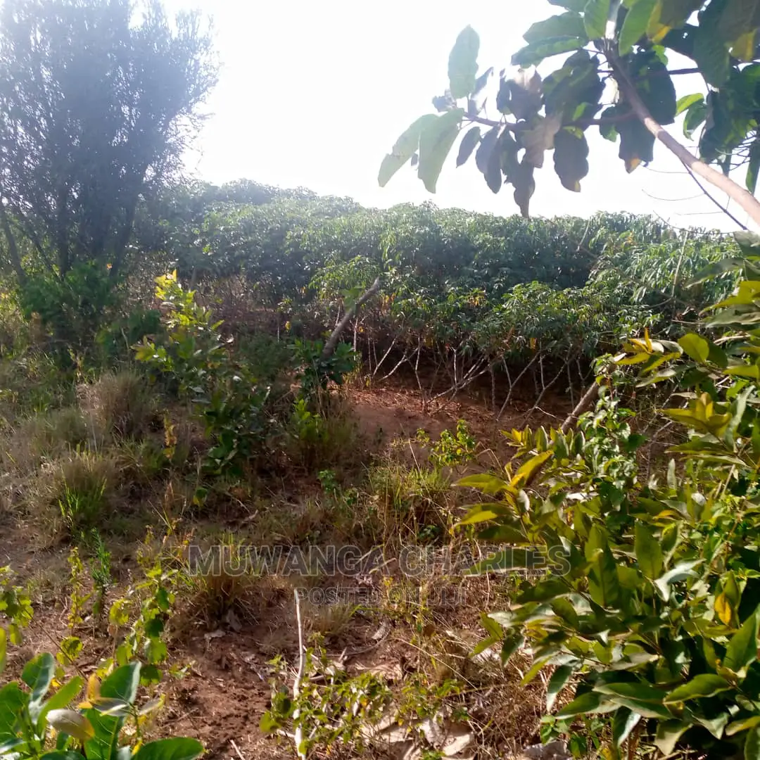 Land for Sale in Kikyusa in Central Division