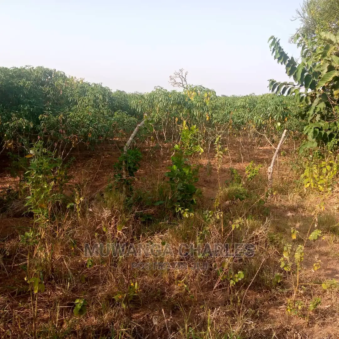 Land for Sale in Kikyusa in Central Division