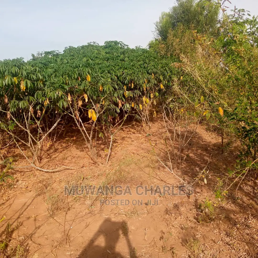 Land for Sale in Kikyusa in Central Division