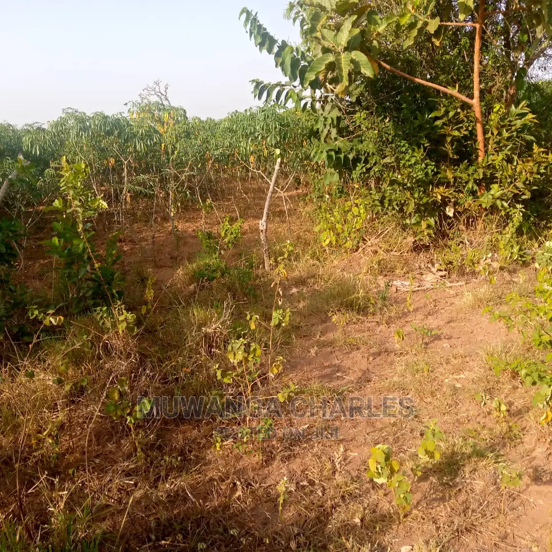 Land for Sale in Kikyusa in Central Division