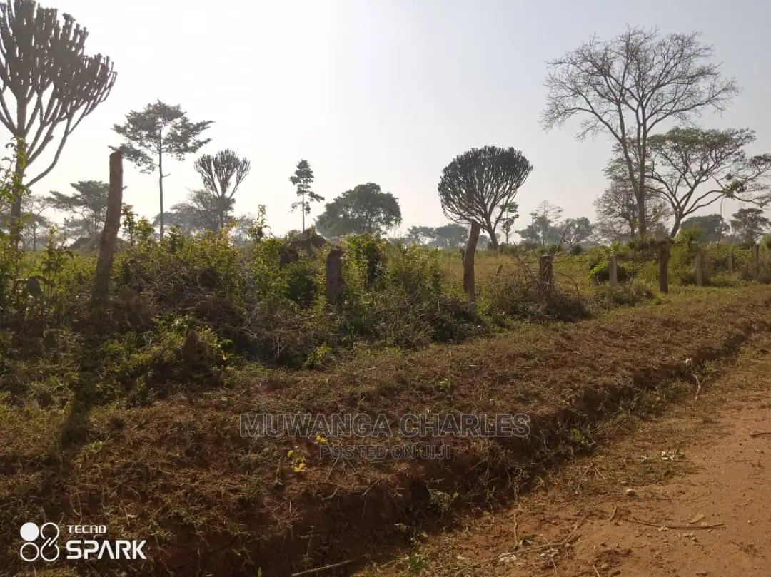 Land for Sale in Kabunyata in Central Division