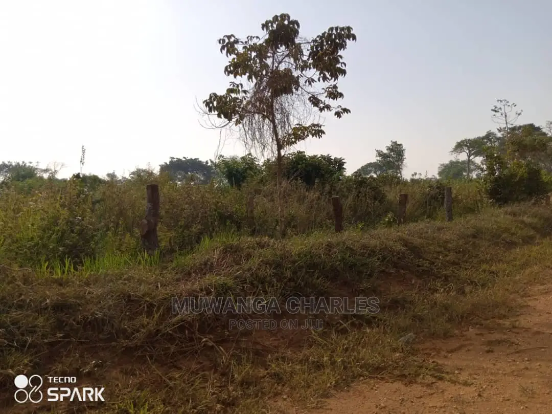 Land for Sale in Kabunyata in Central Division