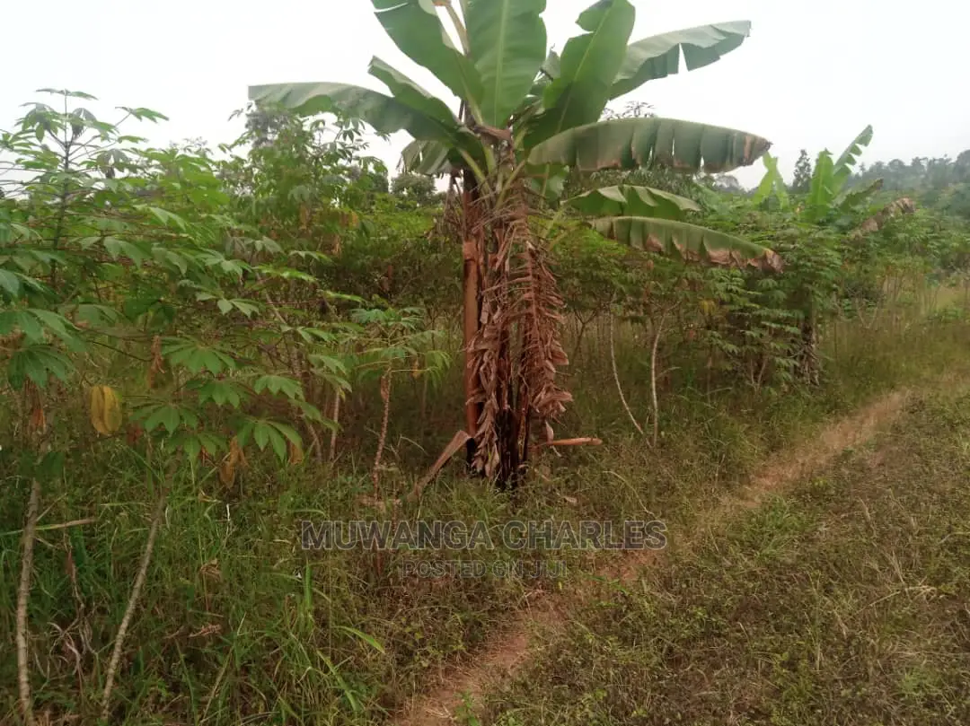 10acres for Sale in Zirobwe in Central Division