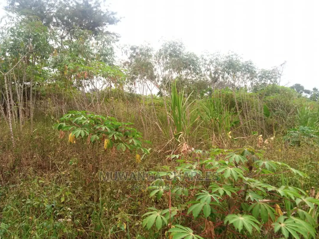 10acres for Sale in Zirobwe in Central Division