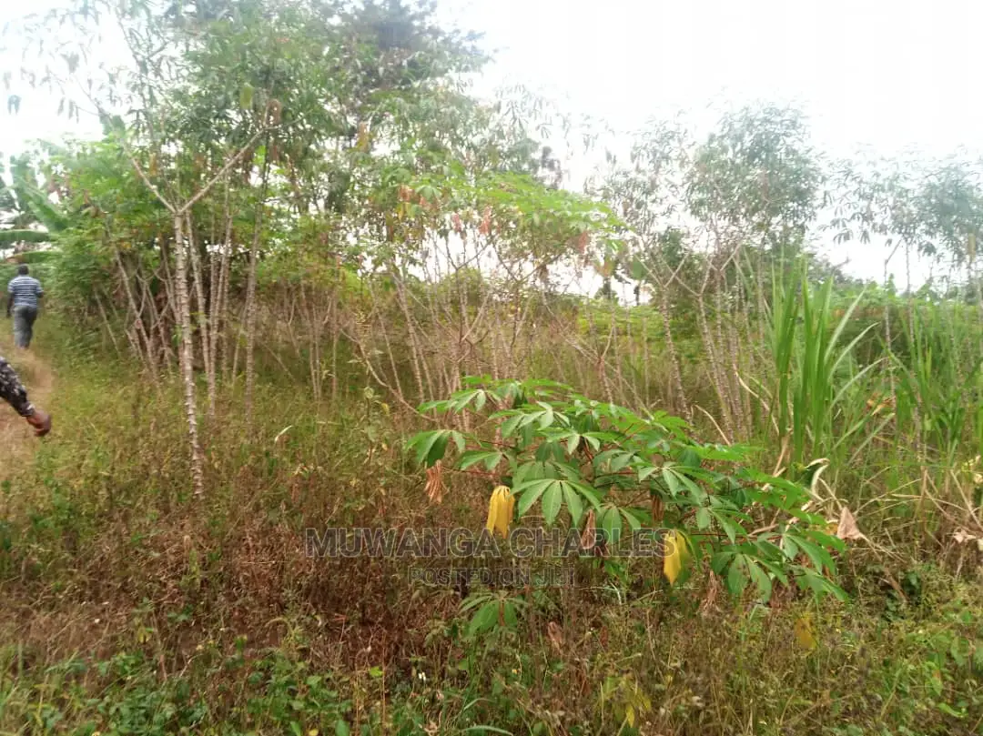 10acres for Sale in Zirobwe in Central Division