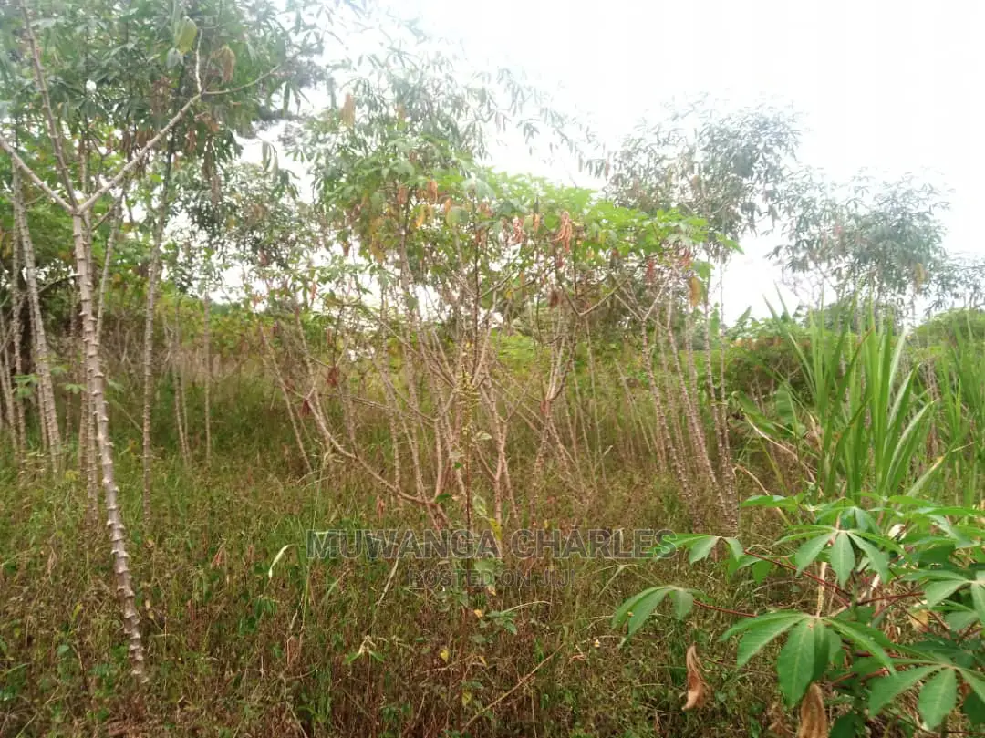 10acres for Sale in Zirobwe in Central Division