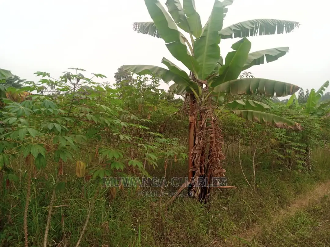10acres for Sale in Zirobwe in Central Division