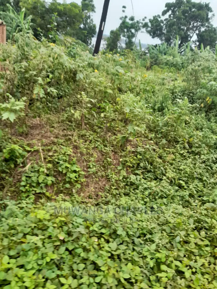 5acres for Sale in Kikyusa in Central Division