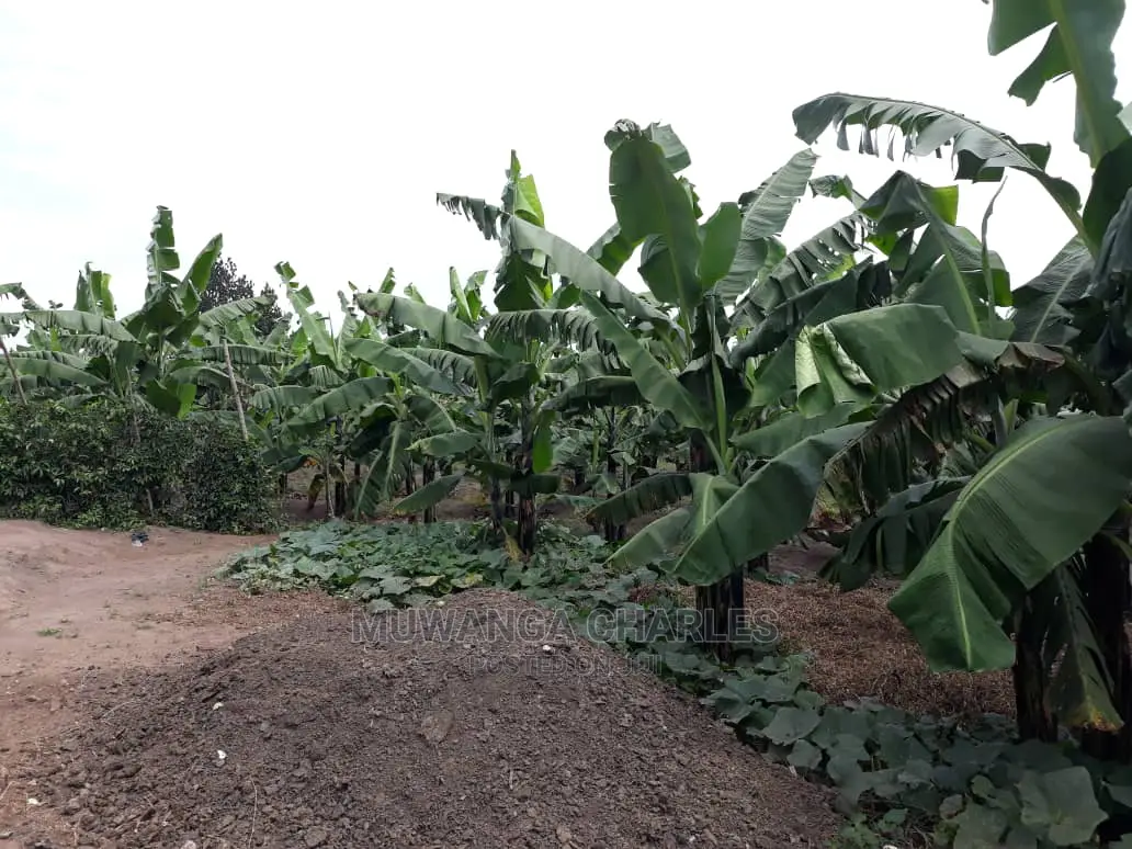 2acres for Sale in Wabutungulu in Central Division