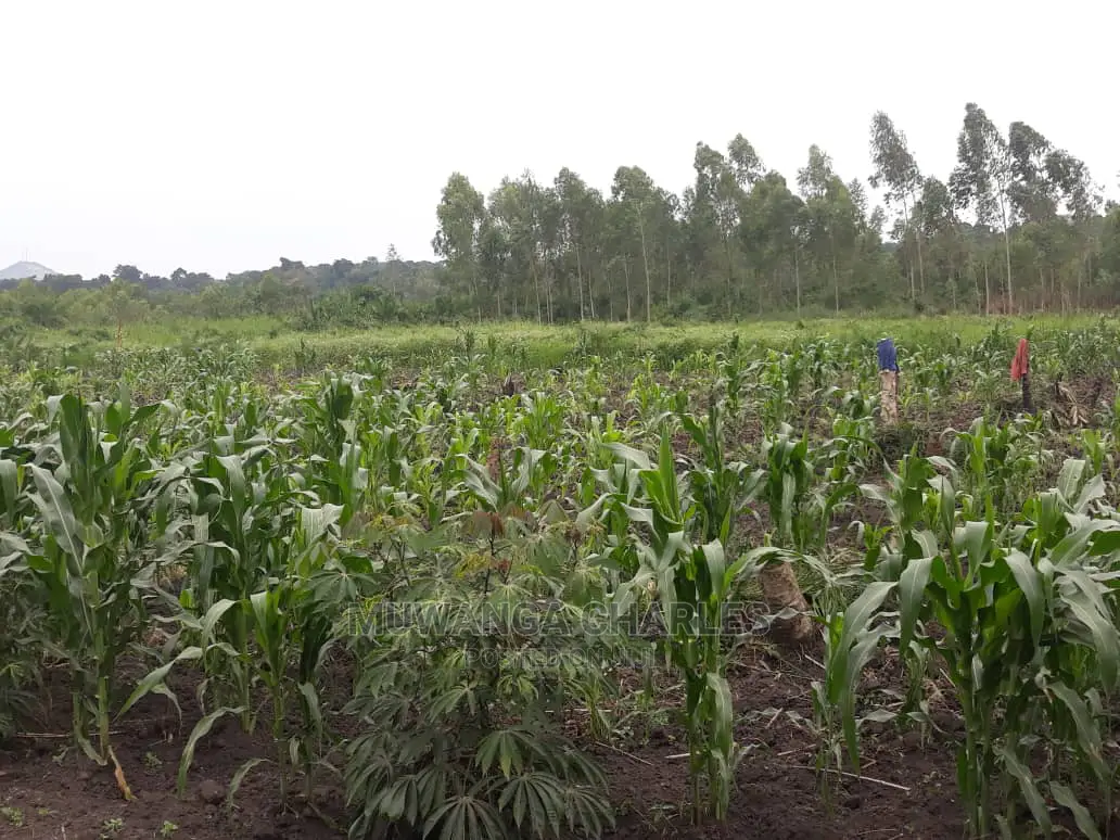 2acres for Sale in Wabutungulu in Central Division
