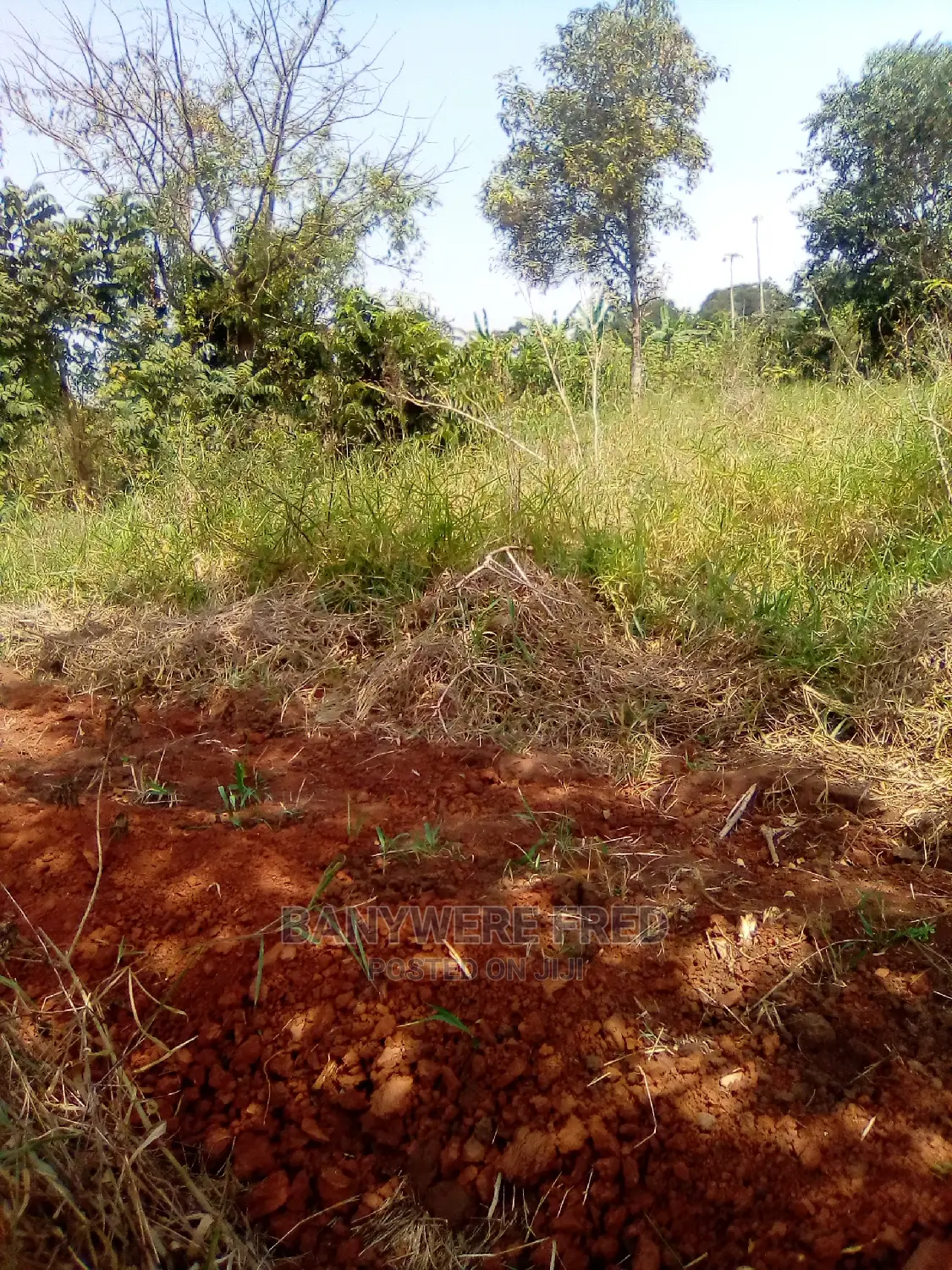 50/100 Plot for Sale in Kimwanyi in Kira