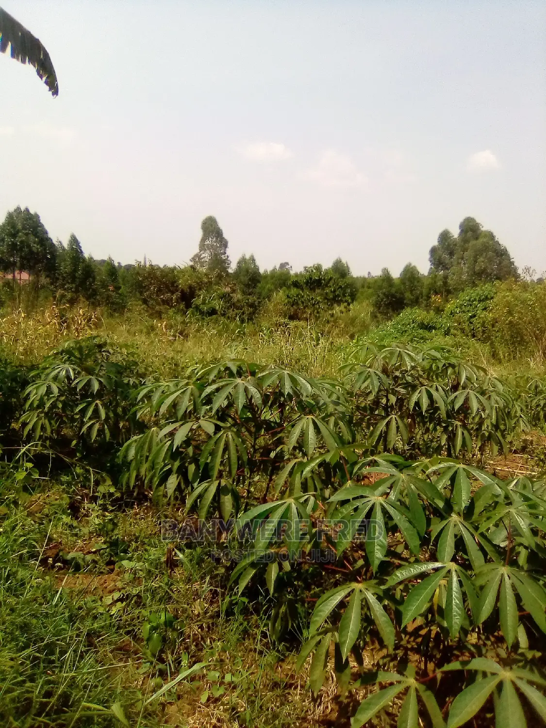 60/100 Plot for Sale in Nakarere in Kira