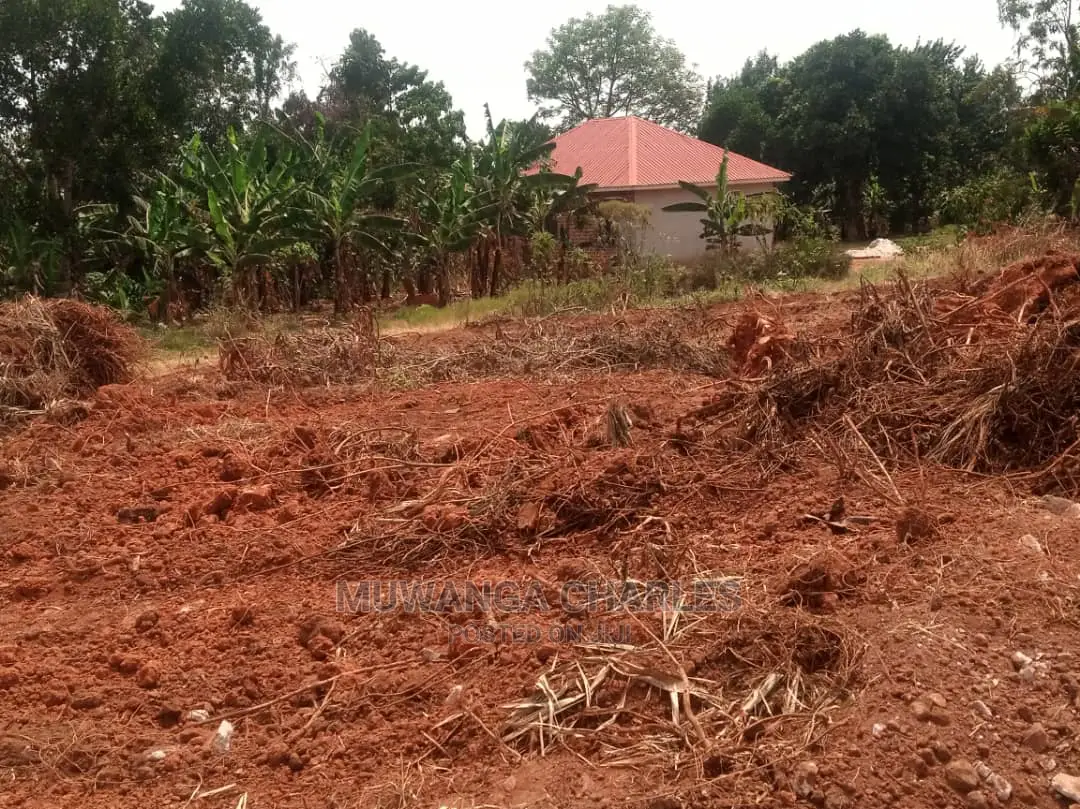 100by50ft for Sale in Buwate in Central Division
