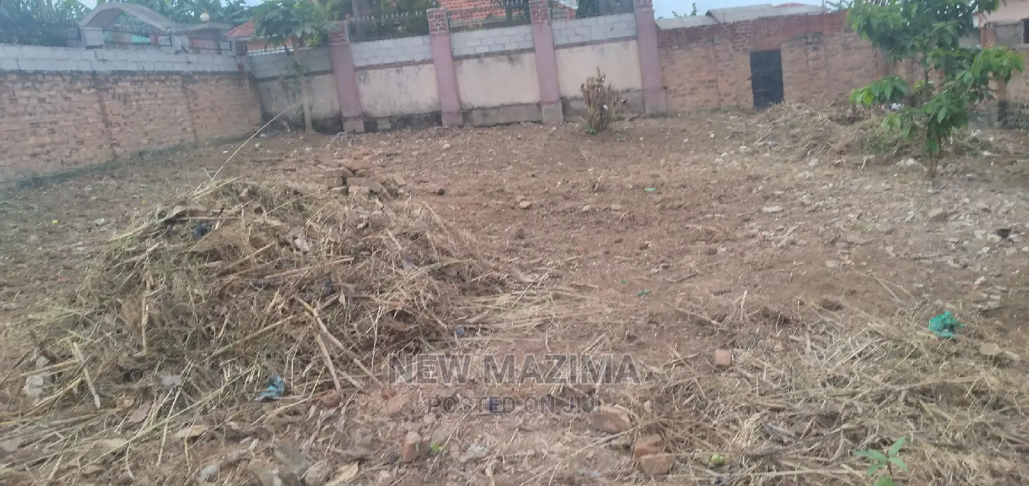 Bunga Plot on Done Harm Lane in Central Division