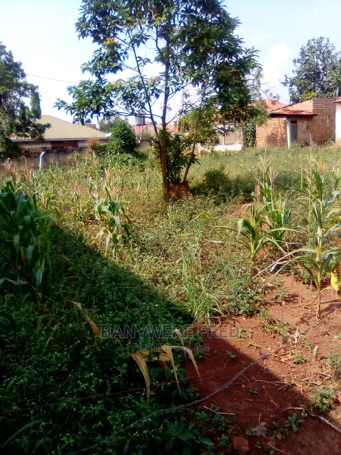 50/100 Plot for in Agenda on Namugongo Road in Kira