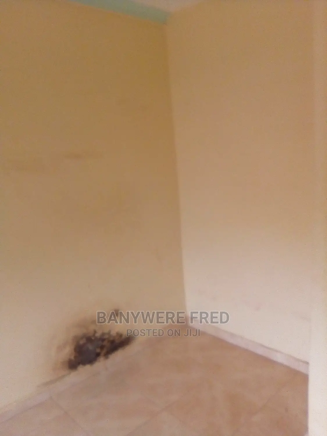 Furnished 3bdrm Bungalow in Kira for Rent in Kira