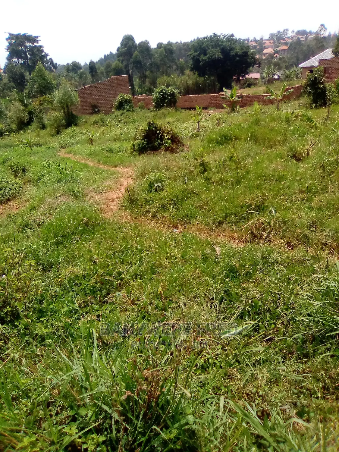 30/50 Plot for in Jogo in Goma