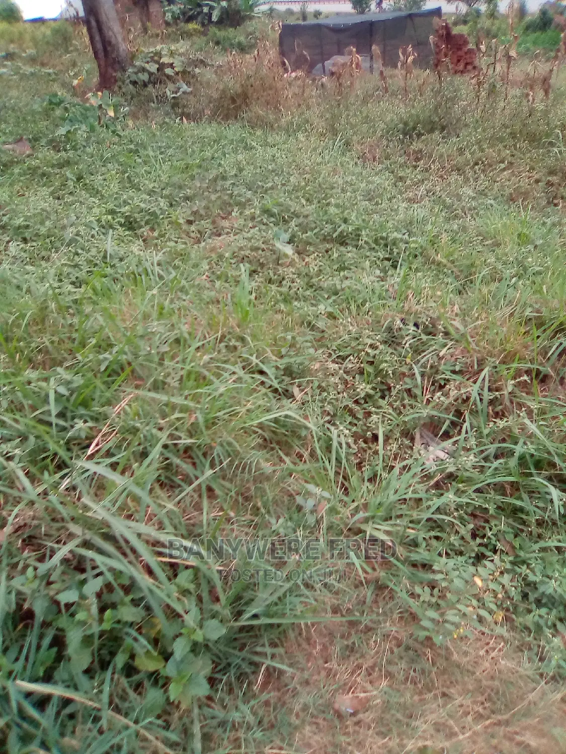 50/100 Plot for Sale in Lumuli Seeta in Goma