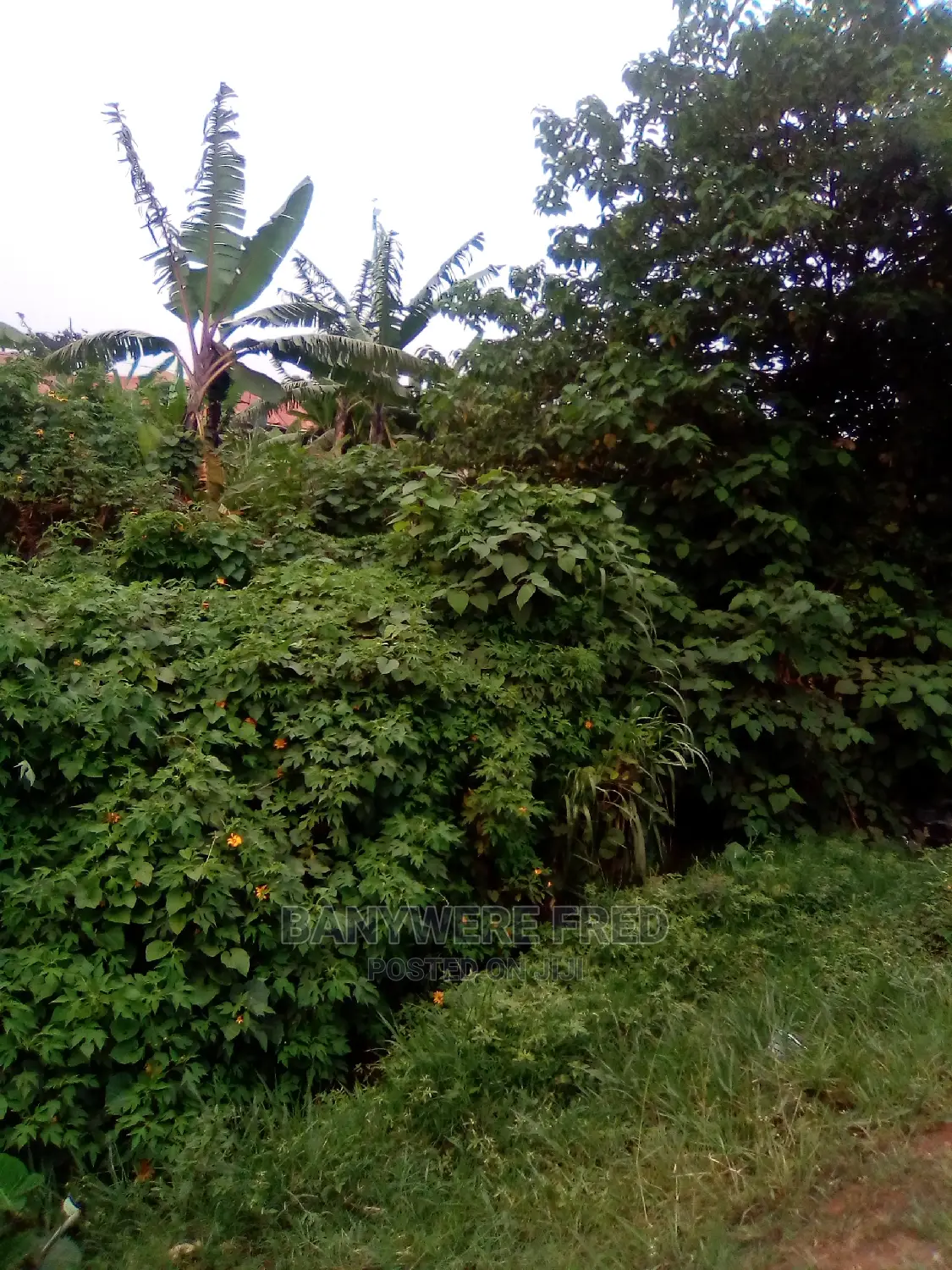 50/100 Plot for Sale in Nangabo in Nangabo