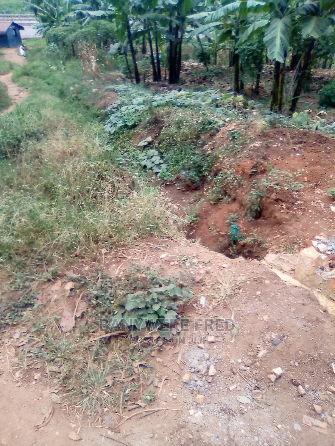50/100 Plot for Sale in Kyumu in Kyampisi