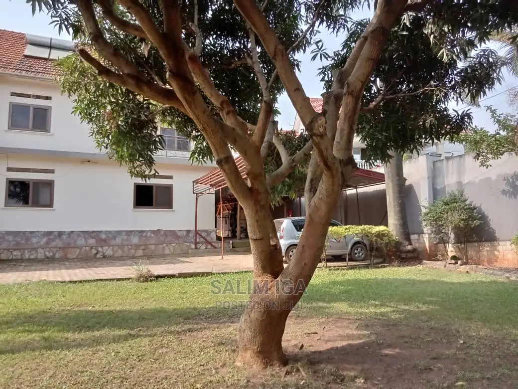 5bdrm Duplex in Kololo Property, Central Division for Rent in Central Division