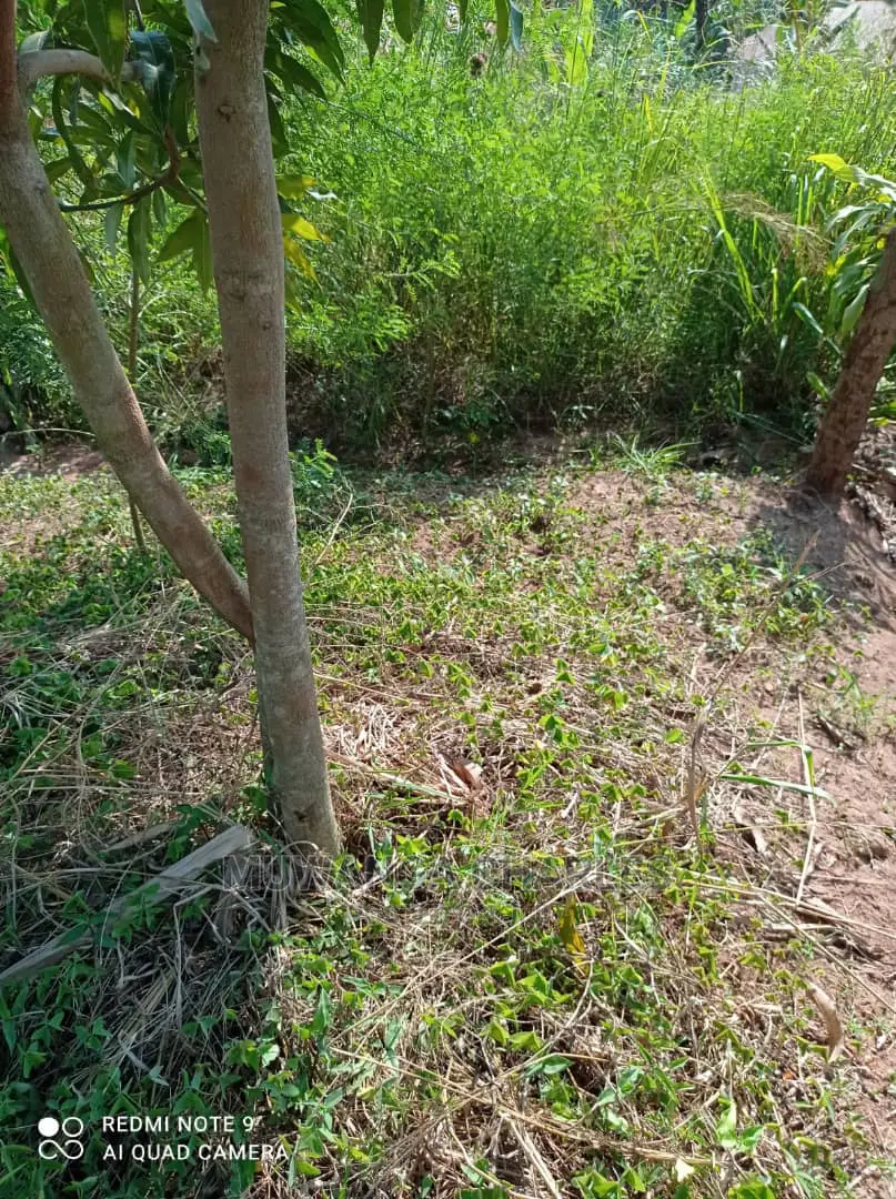 Plots for Sale in Busika in Central Division
