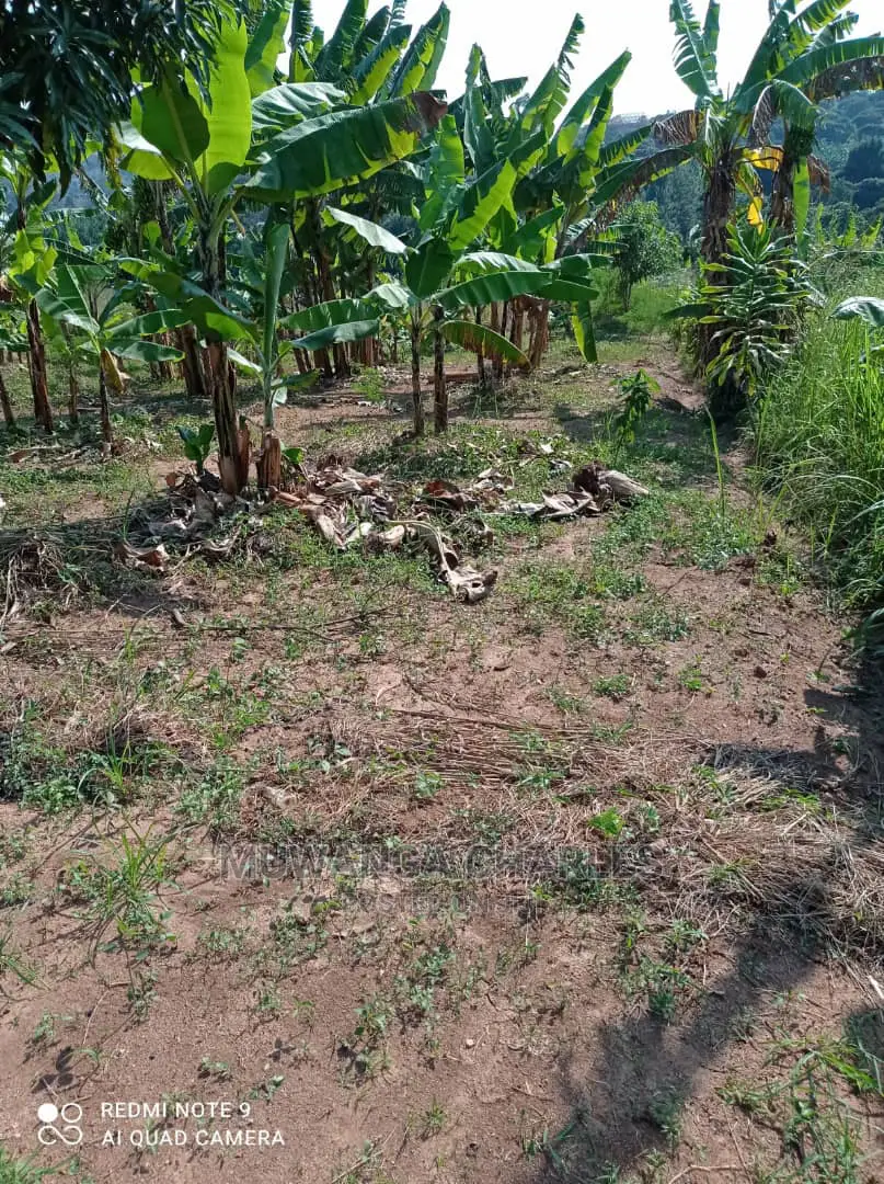Plots for Sale in Busika in Central Division