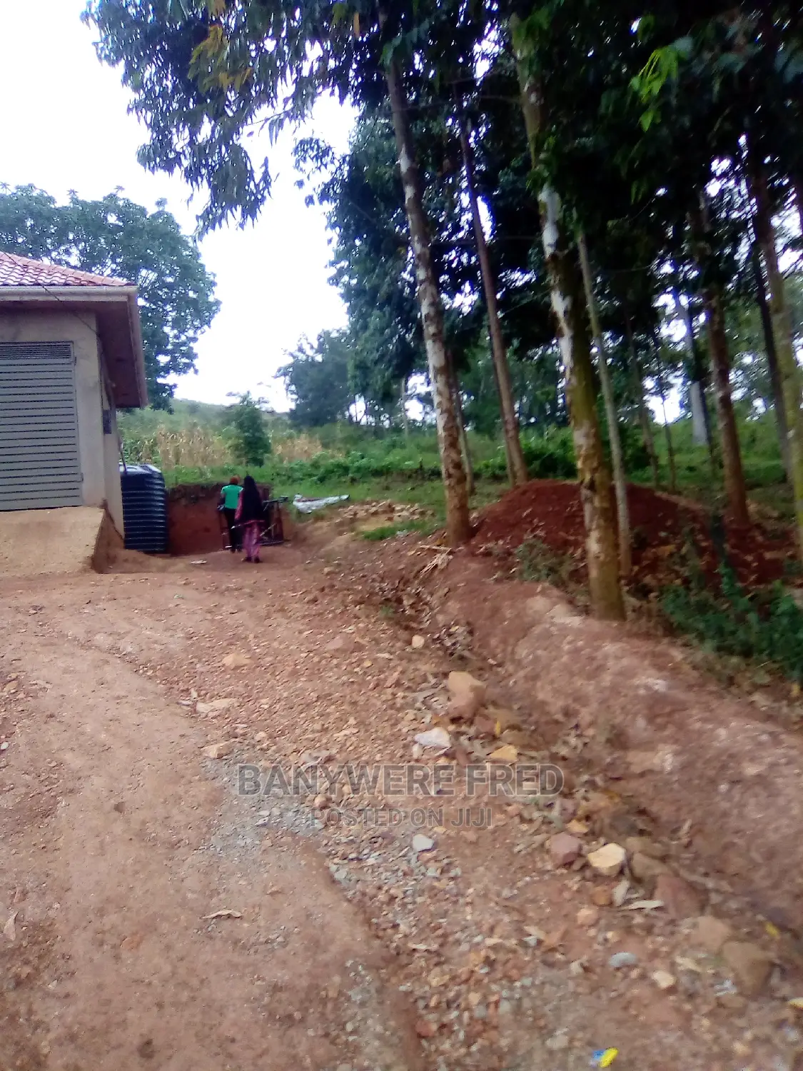 50/100 Plot for Sale in Walusubi in Nama